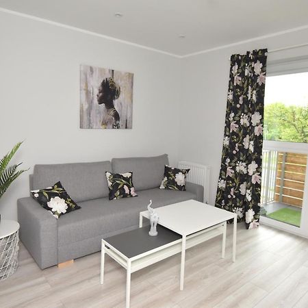Dreamer Apartment Торунь Екстер'єр фото